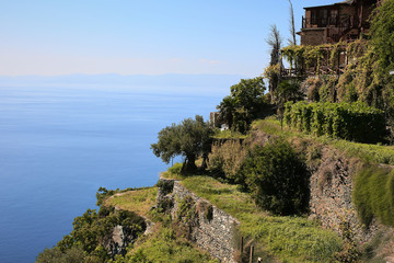 athos greece mounastery sea