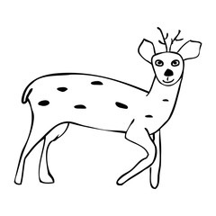 Vector white and black deer drawn in line art isolated on white background