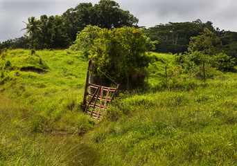 Old Gate, Pasture, Maui, Hawaii