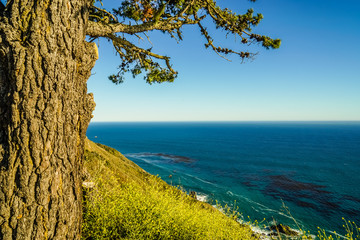 Pacific Ocean Coast