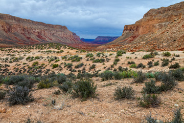 Havasupi Trail, Supai, Arizona. This image shows part of the 8 mile ascent from the Havasupai Reservation to the top of Havasupai canyon.