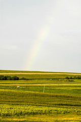 Moldawien, Agrarlandschaft, Regenbogen, Nordmoldawien