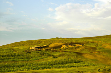Moldawien, Agrarlandschaft, Schafherde, Nordmoldawien