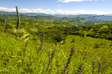 Stanjel, bewaldete Hügellandschaft, Slowenien, Südslowenien