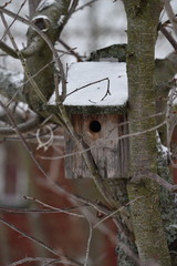 Wooden bird house on a tree during the winter season