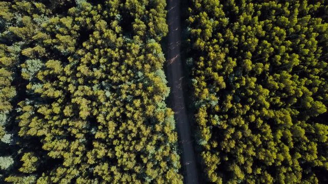 4k top down aerial footage of an unsealed road through a forest