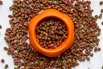 dry dog food in bowl on white background top view