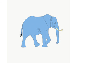 Portrait of an elephant in etosha national park, hand drawn vector illustration isolated on white background