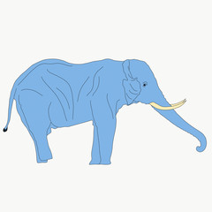 Fototapeta premium Portrait of an elephant in etosha national park, hand drawn vector illustration isolated on white background