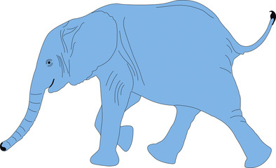 Portrait of an elephant in etosha national park, hand drawn vector illustration isolated on white background