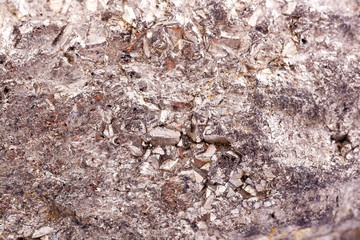 Macro mineral stone Pyrite gold on white background