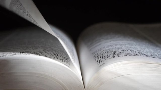 Turning the pages of the book. Searching for information in an encyclopedia.