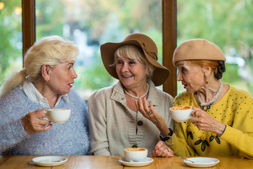 Three senior women drinking coffee. Ladies talking in cafe. Gossips and rumors.