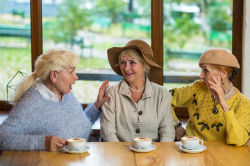 Three elderly women drinking coffee. Ladies talking at the table. News and gossips.