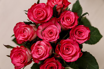 Pink roses background. Valentines day or 8 march floral gift. Bouquet of fresh natural flowers.