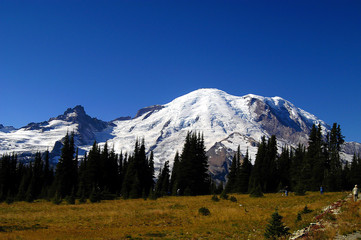 Fototapeta na wymiar Mt Rainier