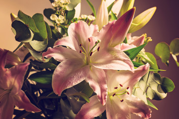 Pink lilies flowers in bouquet against dark background