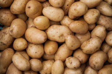 Papas