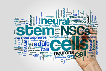Neural stem cells word cloud concept