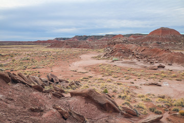 Fototapeta premium Painted Desert in Petrified Forest National Park