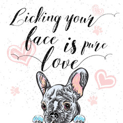 Cute puppy with pink hearts and love sign. Vector illustration for a card or poster. Valentine's Day.
