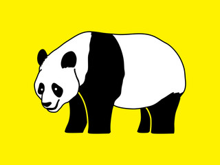 Panda standing side view graphic vector.