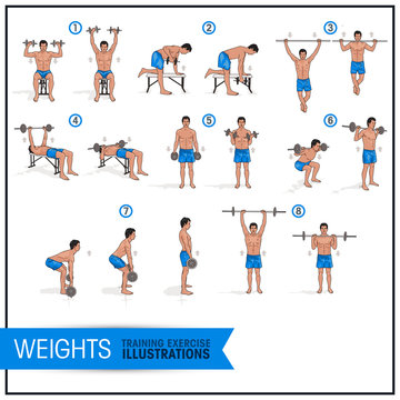 Training Exercise Vector Illustrations - Weights