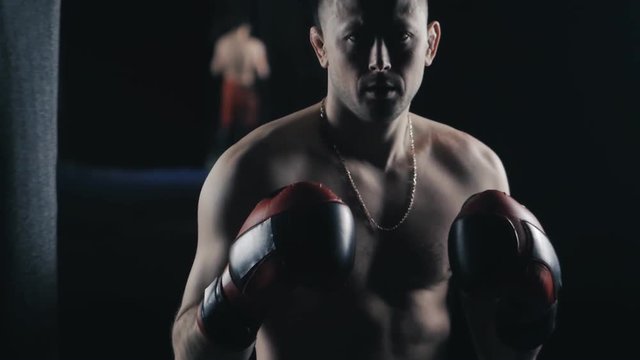 Portrait of Man Boxer in Boxing Club