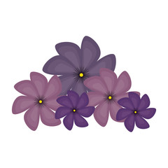 cute floral frame decorative vector illustration design