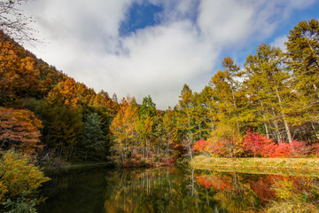 Fototapeta premium まゆみ池 安曇野