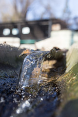 Water in a small river