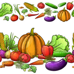 Colorful sketch style vegetables seamless horizontal borders. Eco organic fresh template with vegetables for the decoration of menu. Vector.