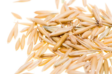 Corn oats on a white background
