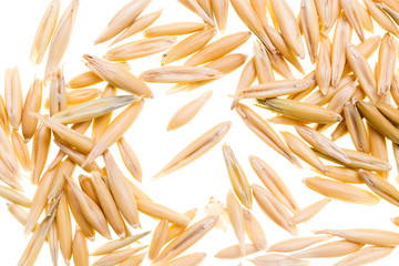 Corn oats on a white background