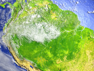 Amazon rainforest on realistic model of Earth