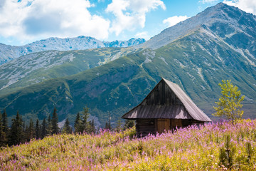 Obraz premium Hala Gasienicowa, Tatra mountains Zakopane Poland