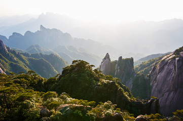 Mount Sanqing spring landscape.
