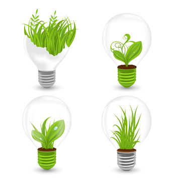 Set of Light Bulbs with Plant and Leaves Growing