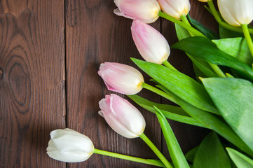 Rose-colored tulips on a wooden background. Copy space and close up.