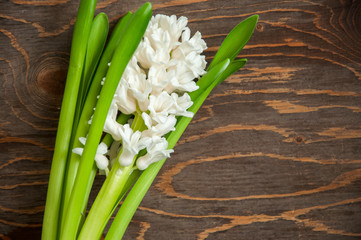 White single hyacinth on a wooden background. Copy Space and top view.