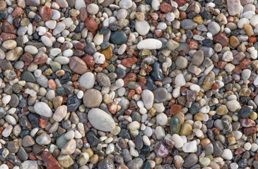 Wet multi color pebbles on the sea beach
