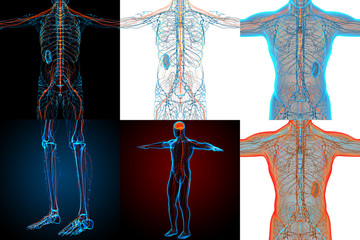 3d rendering medical illustration of the nerve system