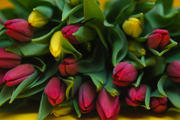 Obraz na płótnie Canvas Colorful tulips bouquet background