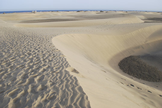 Sand dunes of the Maspalomas desert near the Atlantic Ocean, Gran Canaria, Spain.
