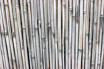Bamboo  rustic  wall textured background
