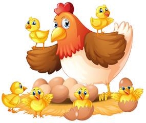 Obraz na płótnie Canvas Hen and chicks on nest