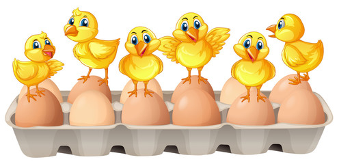 Six chicks standing on eggs © GraphicsRF