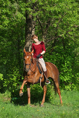 Young  horseback rider having pleasure in forest 
