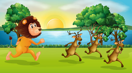 Fototapeta na wymiar Lion and deers running in the park