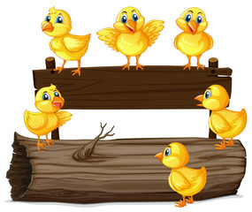 Wooden sign with six chicks